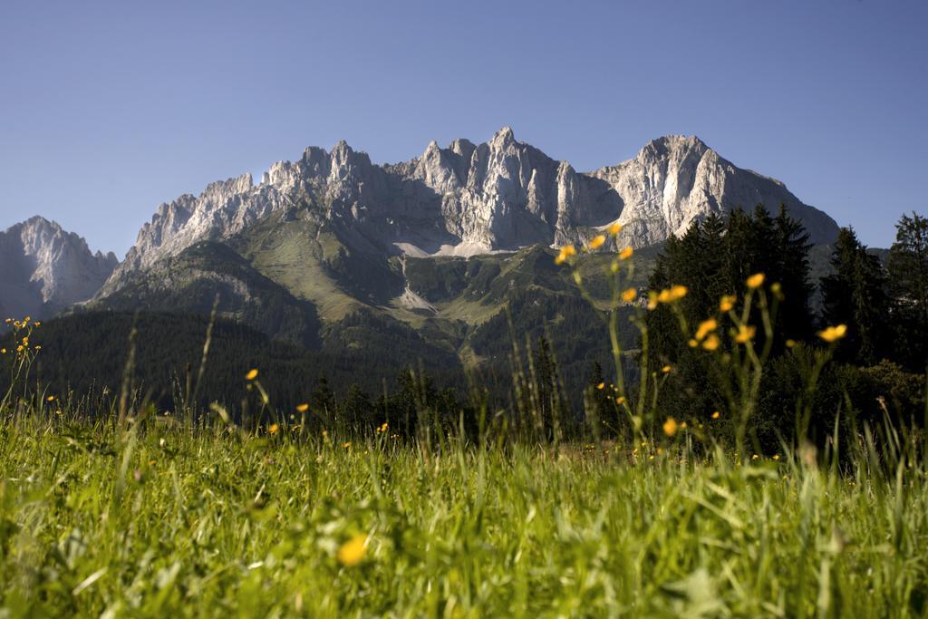 Отель Berghof Haselsberger Санкт-Йоганн Экстерьер фото
